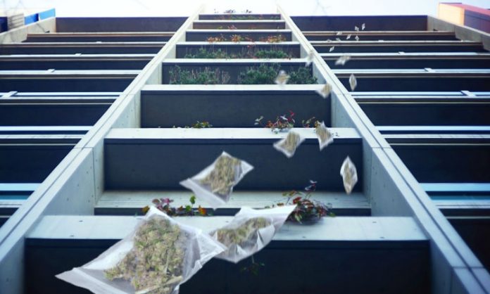 Cannabis-Baggys fliegen vom Balkon