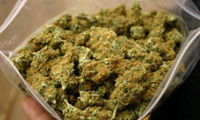 Marihuana im Zug vergessen: 2 Kilo Cannabis vom Fundbüro eingefordert -  Highway - Das Cannabismagazin