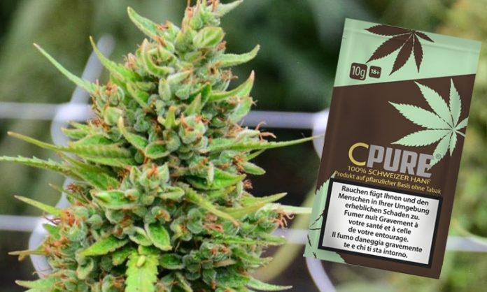 Fotomontage: Cannabispflanze, daneben eine C-Pure-Verpackung