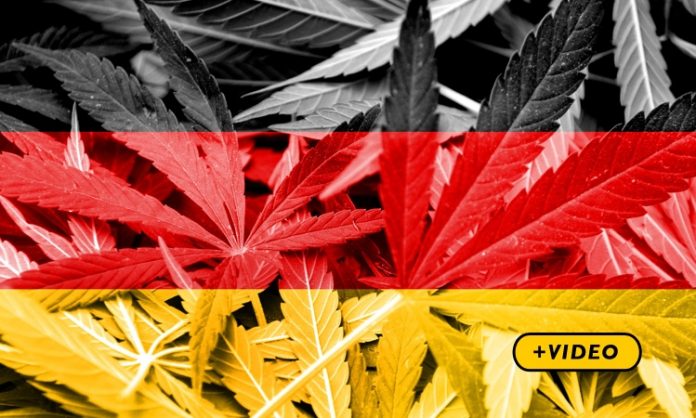 Cananbisblätter, mit deutscher Flagge hinterlegt