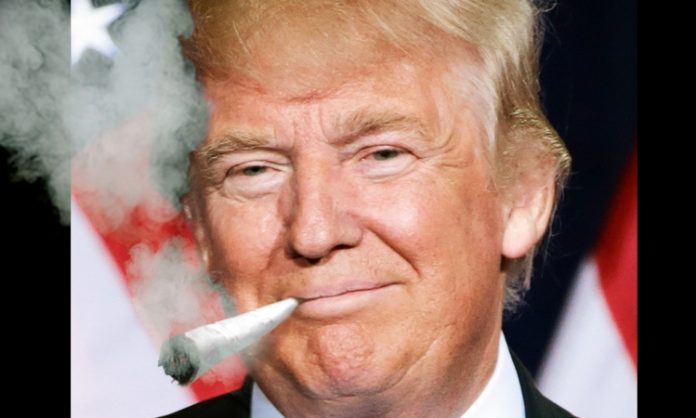 Fotomontage: Donald Trump raucht dicken Joint