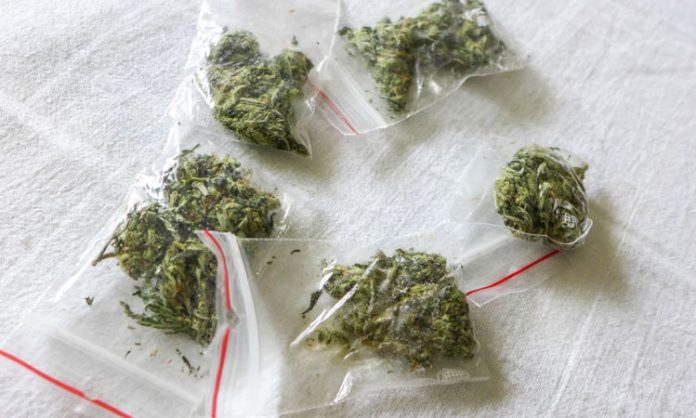5 Tütchen mit Cannabis