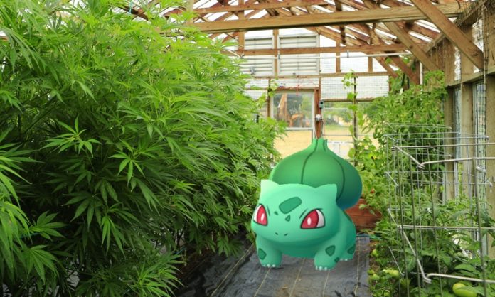Fotomontage: ein Pokémon inmitten einer Cannabis-Anlage