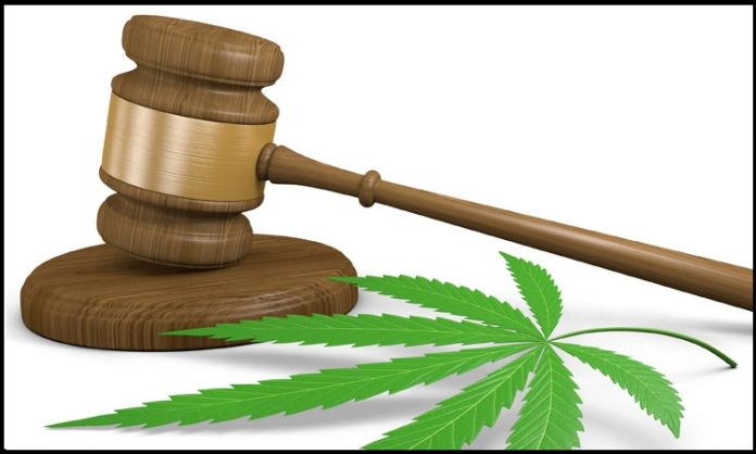 Cannabis und Richterhammer