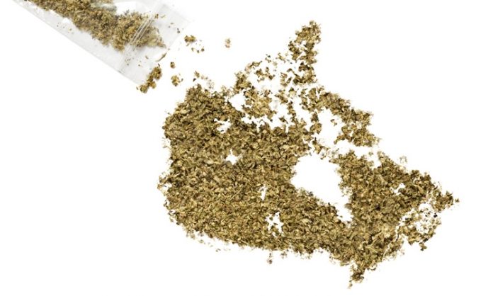 Zerkleinertes Marihuana ergibt den Umriss von Kanada