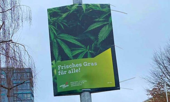 Wahlplakat der Grünen mit Hanfpflanzen